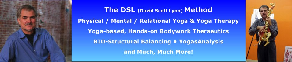 David Scott Lynn - DSL